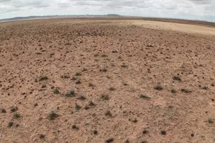 9850 Cattleman Rd, Holbrook, AZ 86025 - Photo 1