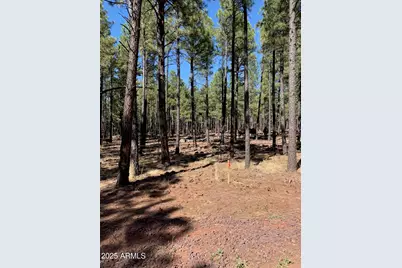 Tbd-2 Dynamite Road #'-', Lakeside, AZ 85929 - Photo 2