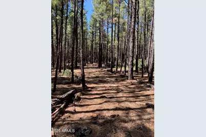 Tbd-2 Dynamite Road #'-', Lakeside, AZ 85929 - Photo 1