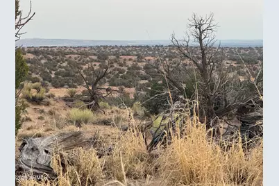 Lot 1041 Woodland Valley Ranch -- #1041, Saint Johns, AZ 85936 - Photo 2