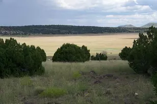 Lot 253 N8640, Concho, AZ 85924 - Photo 1