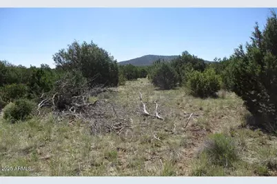 0 Espee Road #-, Williams, AZ 86046 - Photo 14