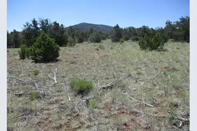 0 Espee Road #-, Williams, AZ 86046 - Photo 12