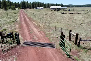 3153 Pinetree Dr, Williams, AZ 86046 - Photo 4