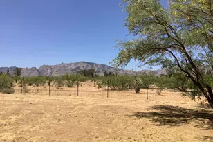 311 W Kaibab Way, Cochise, AZ 85606 - Photo 40