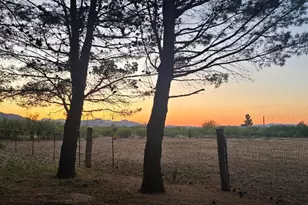 311 W Kaibab Way, Cochise, AZ 85606 - Photo 48