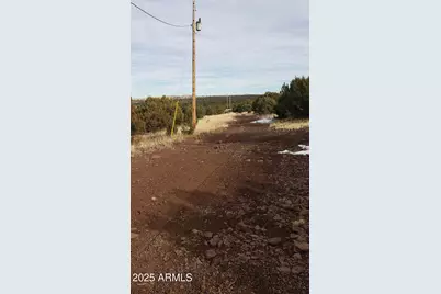 43 N County Road N3209 Road #29, Concho, AZ 85924 - Photo 2