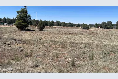 2278 Meadow Lane #179, Overgaard, AZ 85933 - Photo 1