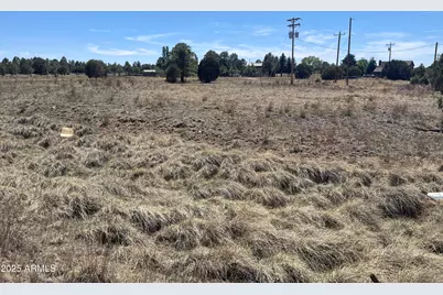 2278 Meadow Lane #179, Overgaard, AZ 85933 - Photo 2