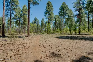 1460 S Adair Dr, Pinetop, AZ 85935 - Photo 26
