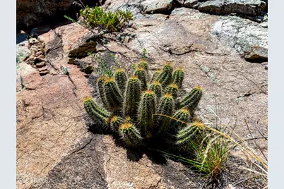 0000 S Monica Mine Road #5, Peeples Valley, AZ 86332 - Photo 8