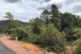 9 Lodgepole Circle, Pine, AZ 85544 - Photo 1