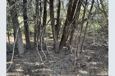 9 Lodgepole Circle #9, Pine, AZ 85544 - Photo 4