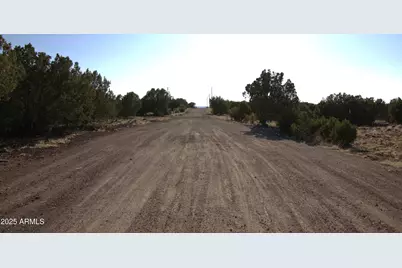 Tbd W Lot 14 Bonito Drive #14, Show Low, AZ 85901 - Photo 6