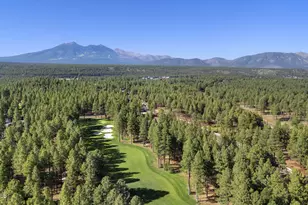 3495 W Lead Rope, Flagstaff, AZ 86005 - Photo 38