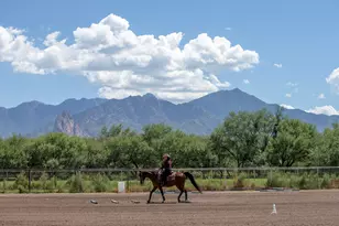 3155 W Elephant Head Rd, Amado, AZ 85645 - Photo 46