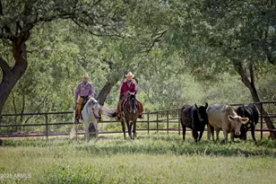 3155 W Elephant Head Rd, Amado, AZ 85645 - Photo 42