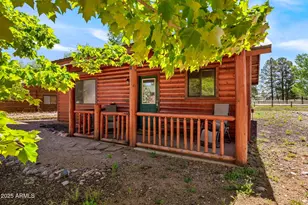 2353 S Buffalo Loop, Overgaard, AZ 85933 - Photo 2