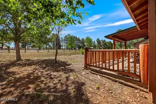 2353 S Buffalo Loop, Overgaard, AZ 85933 - Photo 20