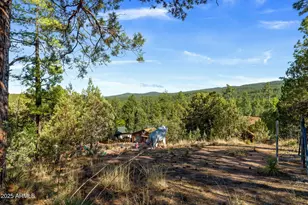 1022 S Hunter Creek Dr, Payson, AZ 85541 - Photo 52