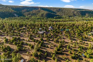 31 E County Road N2163 --, Nutrioso, AZ 85932 - Photo 50