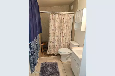 10307 W Oakmont Drive, Sun City, AZ 85351 - Photo 24