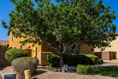 3080 E Andre Avenue, Gilbert, AZ 85298 - Photo 1