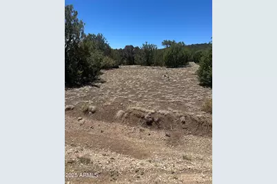 3 Acr 3195 -- #273, Vernon, AZ 85940 - Photo 1