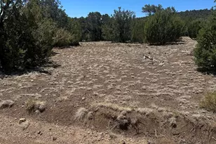 3 Acr 3195 --, Vernon, AZ 85940 - Photo 1