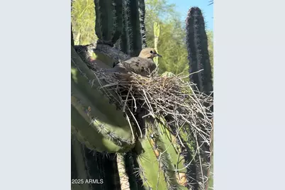 7485 E Tumbleweed Drive, Scottsdale, AZ 85266 - Photo 52