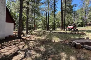 135 Spruce Dr, Mormon Lake, AZ 86038 - Photo 38