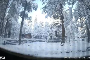 135 Spruce Dr, Mormon Lake, AZ 86038 - Photo 46