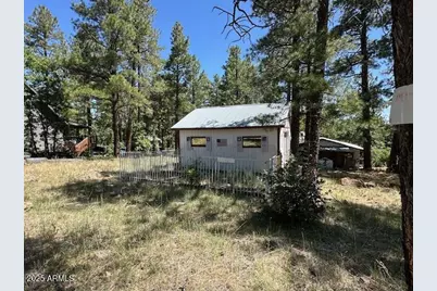 135 Spruce Drive, Mormon Lake, AZ 86038 - Photo 42