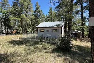 135 Spruce Dr, Mormon Lake, AZ 86038 - Photo 42