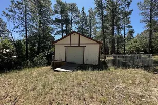 135 Spruce Dr, Mormon Lake, AZ 86038 - Photo 40