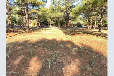 5151 Saddle Strap Way #44, Pinetop, AZ 85935 - Photo 4