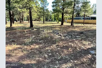 5151 Saddle Strap Way #44, Pinetop, AZ 85935 - Photo 1