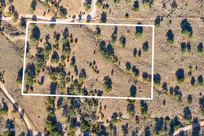 4 Acres S Ridge Rock Road #D, Hereford, AZ 85615 - Photo 16