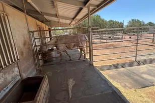 2404 W Palmer Dr, Payson, AZ 85541 - Photo 20