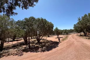 2404 W Palmer Dr, Payson, AZ 85541 - Photo 38