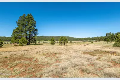 295 E Foxboro Road #5, Munds Park, AZ 86017 - Photo 30