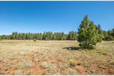 295 E Foxboro Road #5, Munds Park, AZ 86017 - Photo 28