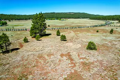 295 E Foxboro Road #5, Munds Park, AZ 86017 - Photo 10