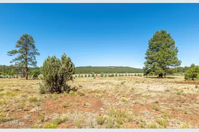 295 E Foxboro Road #5, Munds Park, AZ 86017 - Photo 34