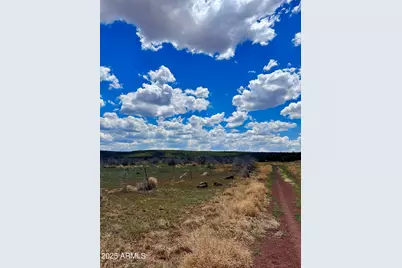 13 Acr 8122 -- #438, Concho, AZ 85924 - Photo 2
