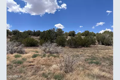 13 Acr 8122 -- #438, Concho, AZ 85924 - Photo 1