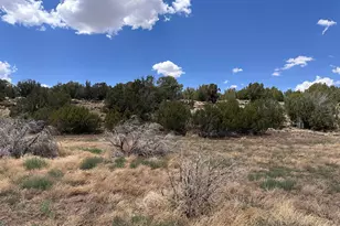 13 Acr 8122 --, Concho, AZ 85924 - Photo 1