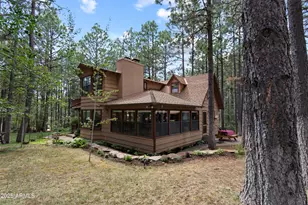 3910 Larson Loop, Forest Lakes, AZ 85931 - Photo 2