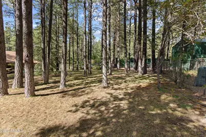 3910 Larson Loop, Forest Lakes, AZ 85931 - Photo 44