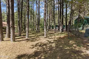 3910 Larson Loop, Forest Lakes, AZ 85931 - Photo 44